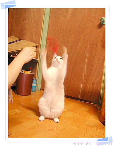 둘이서
