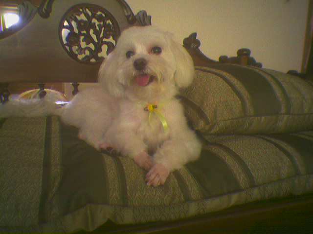 아롱이 잘 지내고 있습니다