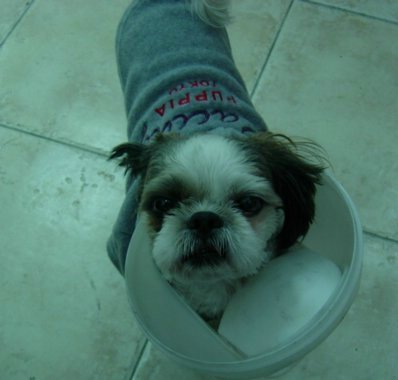 사랑하는 아이들...