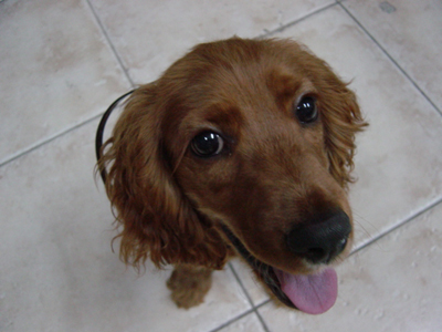 사랑하는 아이들...