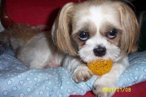 통통이 최근사진^^