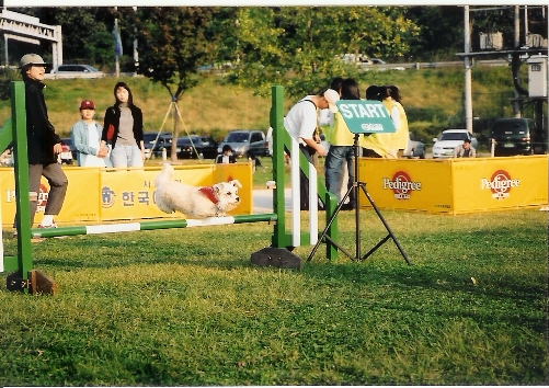 볼키 시법경기 모습입니다.