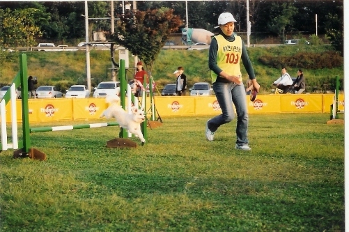 볼키 시법경기 모습입니다.