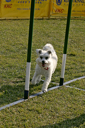 볼키 시범경기사진입니다~