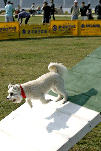 볼키 시범경기사진입니다~