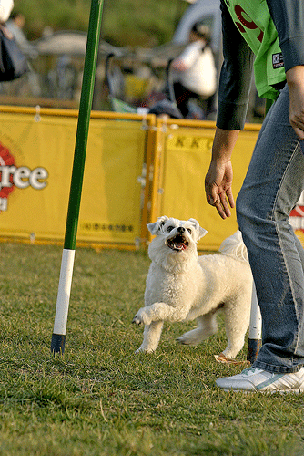 볼키 시범경기사진입니다