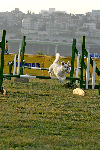볼키 시범경기사진입니다