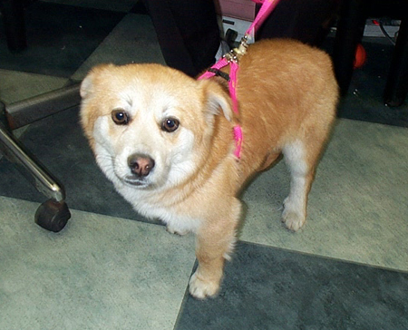 착한 강부기에게 힘을!