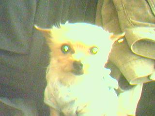 진짜 오랫만에 나리(빠꾸) 사진이에요^^