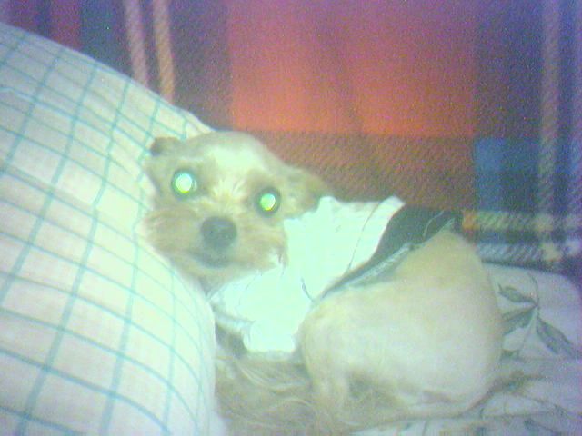 진짜 오랫만에 나리(빠꾸) 사진이에요^^