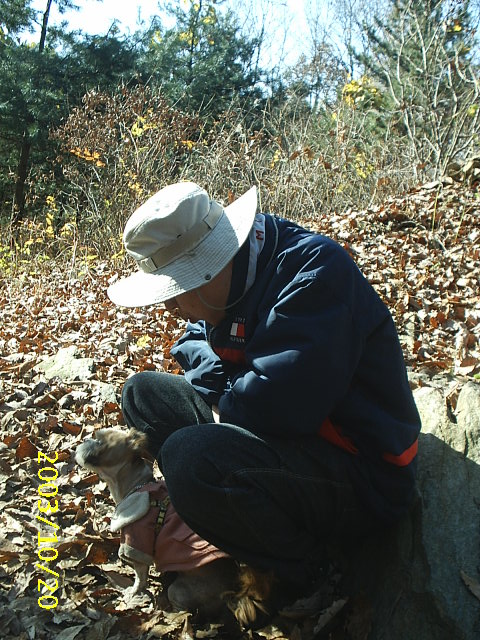 볼키의 산타옷!!