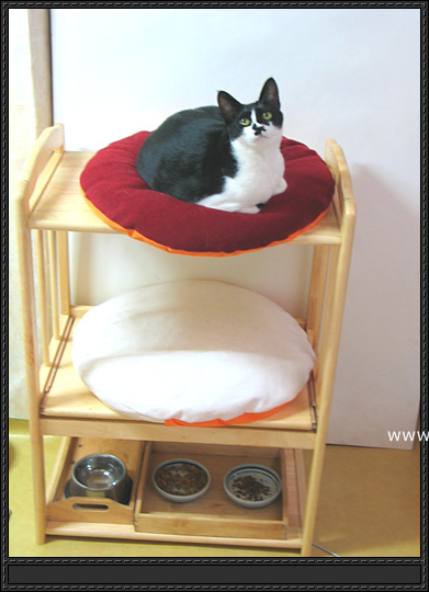 나른한 낮잠, 난이