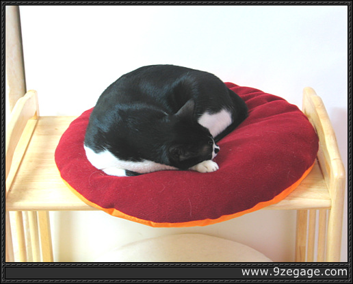 나른한 낮잠, 난이