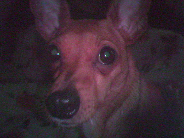 사랑이행복이 맘입니다 1년만이네요..ㅠ ㅋ