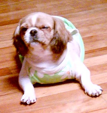 동건이의 최근모습