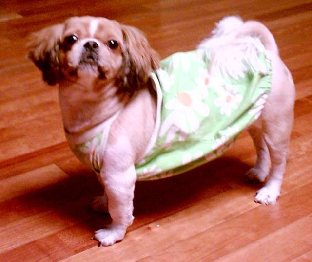 동건이의 최근모습