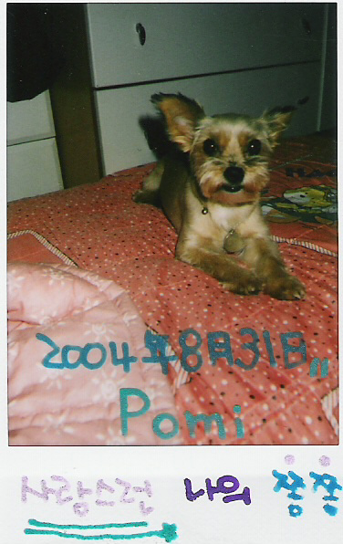 안녕하세여^^ 포미소식이에여~