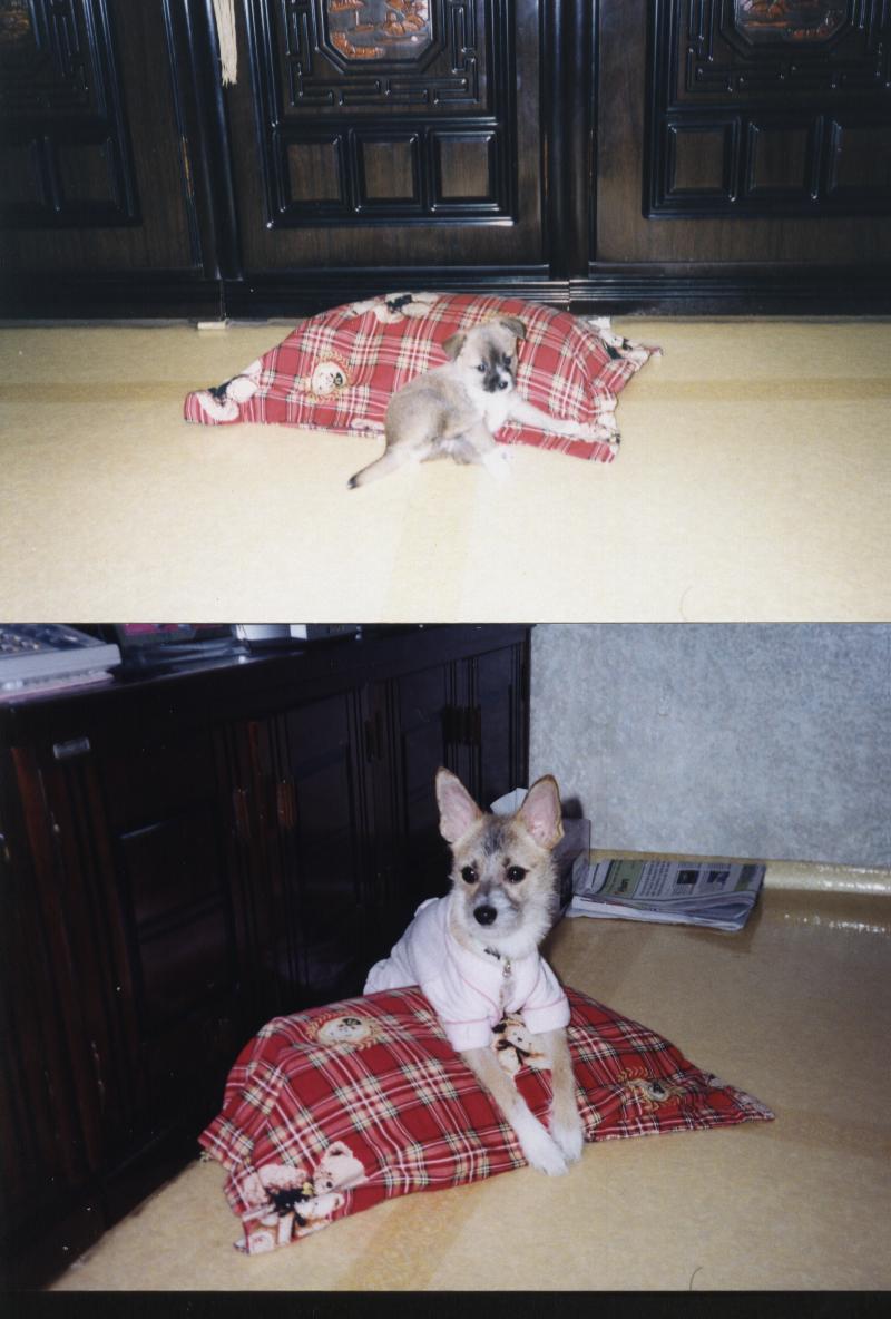 울 짱가 많이 컸죠?