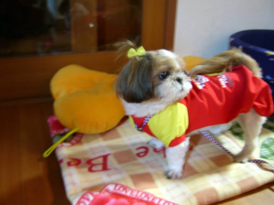 산책간다며!!!!!!!!!!!!!!!!!!!