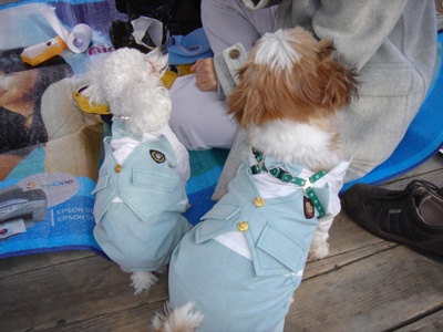 커피랑 미니랑 산책가서~^^