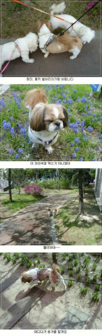 래미언니 신났다.