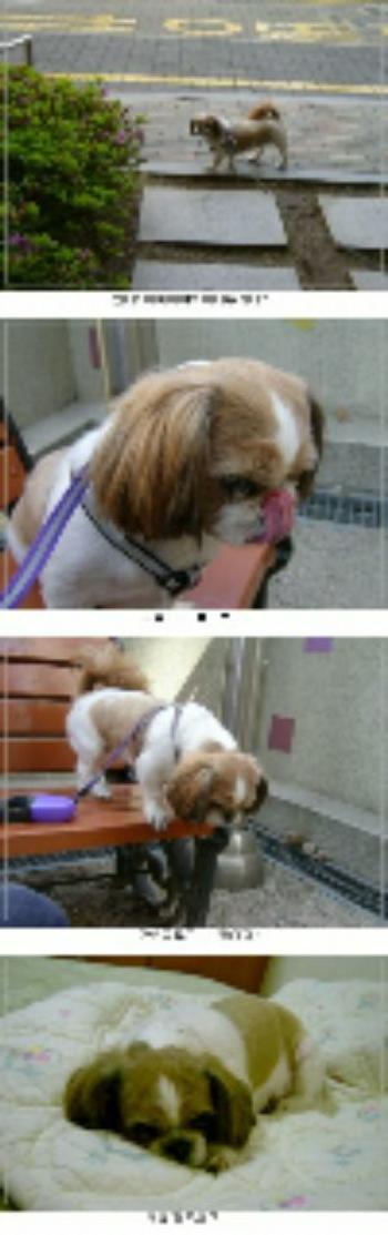 래미언니 신났다.