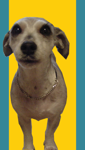 늦었네요... 쌩뚱이랍니다...