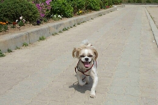 통통이 인사드려요^^