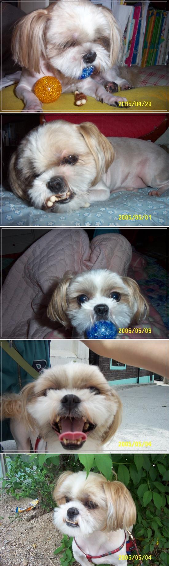 통통이 최근 모습이예요^^