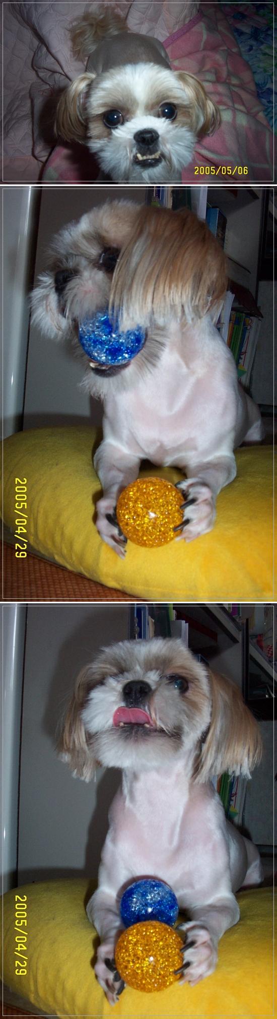 아쉽네요..ㅠㅠ