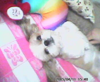 즐거운 하루였습니다~~