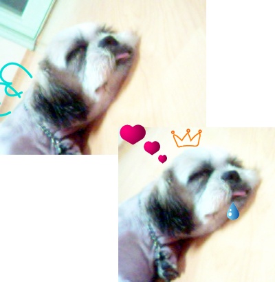 체리.. 얌전한줄 알았능데...