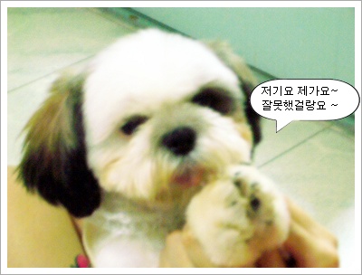 ☆ 간만입니다...우리 아그들 입니당..^.^ ☆