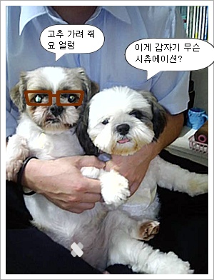 ☆ 간만입니다...우리 아그들 입니당..^.^ ☆