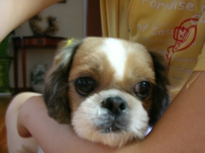 오랜만입니다.^^