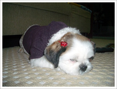 첫눈이 왔씀니다....