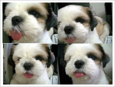 첫눈이 왔씀니다....