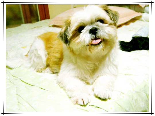 초절정꽃미소년 소망군입니다^^