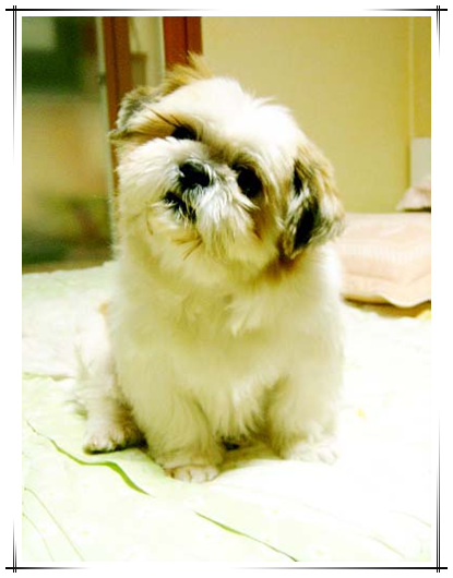 초절정꽃미소년 소망군입니다^^