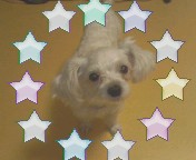 분홍이 소식 처음 올리네요~~^^;;