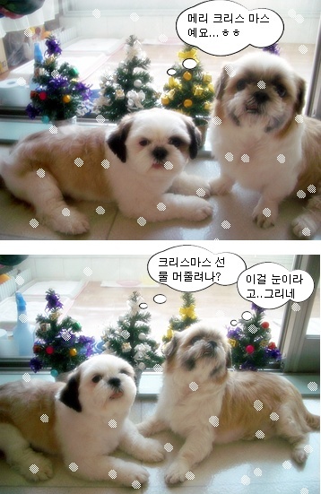 미리 크리스 마스??
