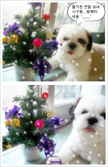 미리 크리스 마스??