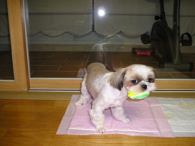 달려가는 모습?!