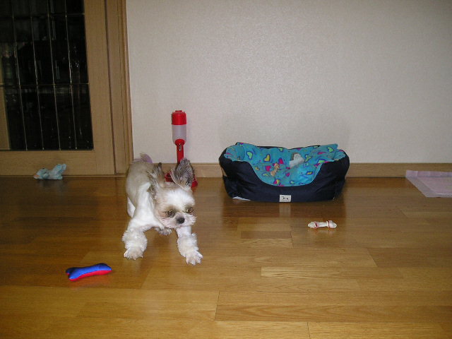 달려가는 모습?!