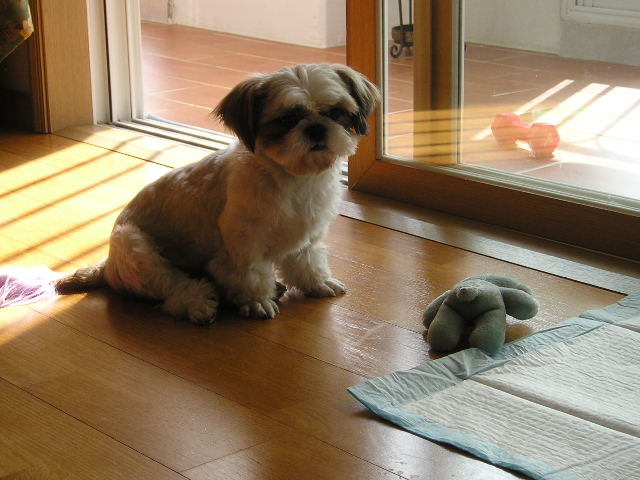 미용전의 또다른 예쁜 사진