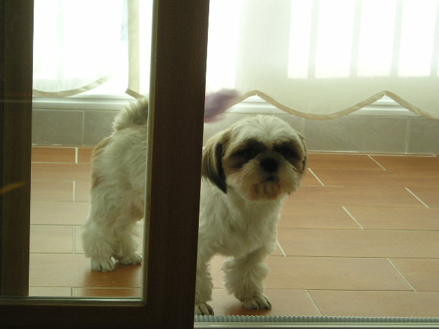 미용전의 또다른 예쁜 사진