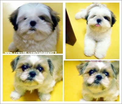 너무 오랜만이져~~~~~~~