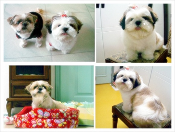 아우..이제 드뎌 d-day 10일 이네요...^^