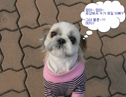 [re] 미모 확인을 위해 증명사진도..