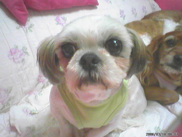 줌마와미남이..